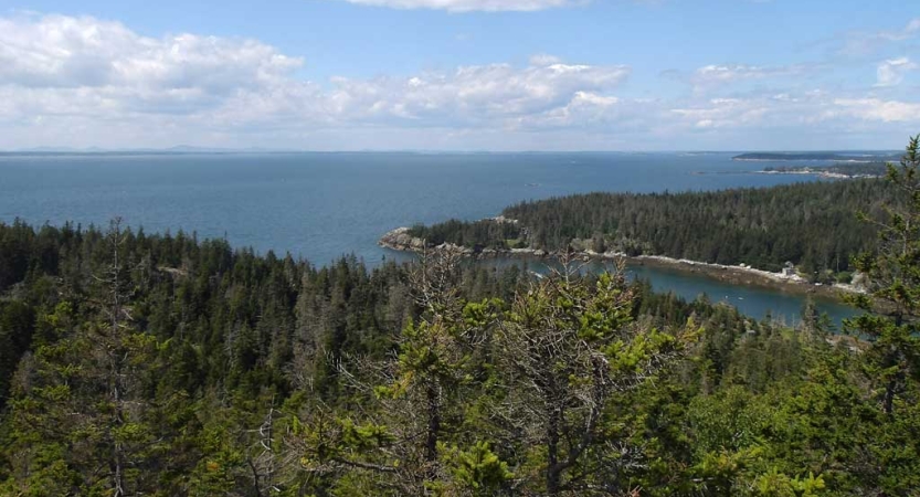 From a high elevation, there are trees and blue body of water below. 